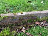 image of grave number 281126